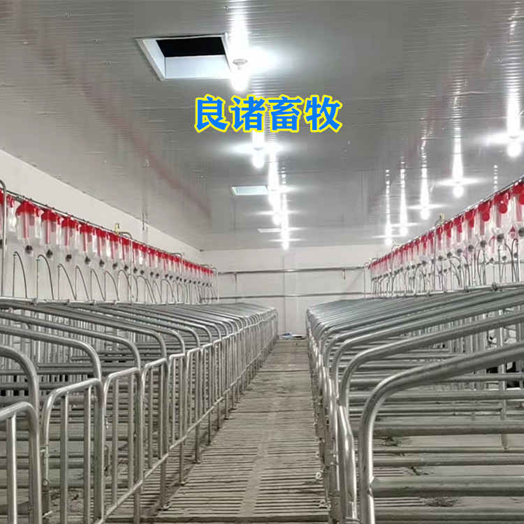 豬用自動(dòng)喂料線
